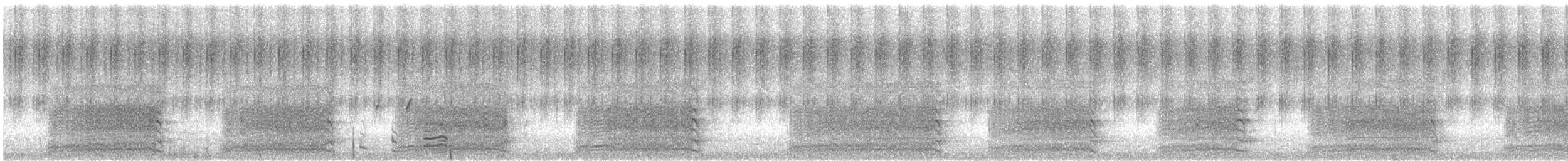 Carnaby's Black-Cockatoo - ML646951612