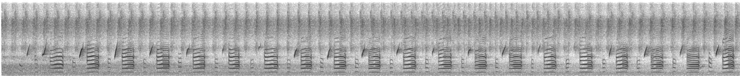 Carnaby's Black-Cockatoo - ML646951613
