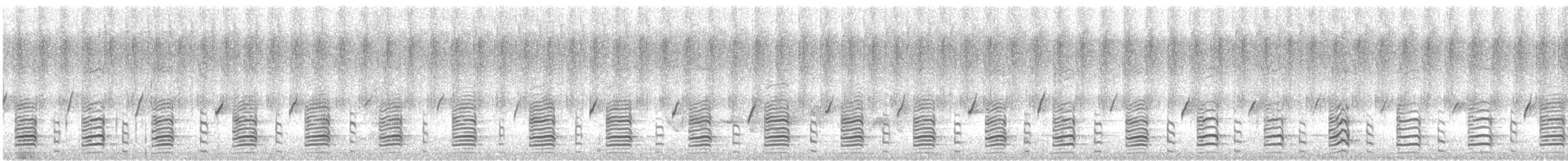 Carnaby's Black-Cockatoo - ML646951614