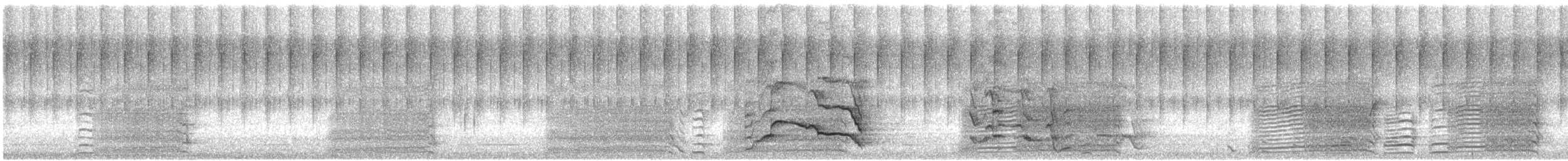 Carnaby's Black-Cockatoo - ML646951615