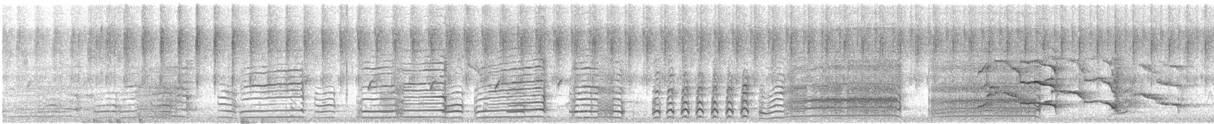 Carnaby's Black-Cockatoo - ML646951616
