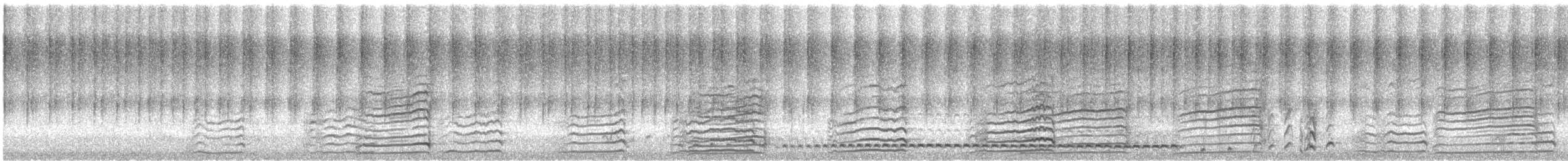 Carnaby's Black-Cockatoo - ML646951617