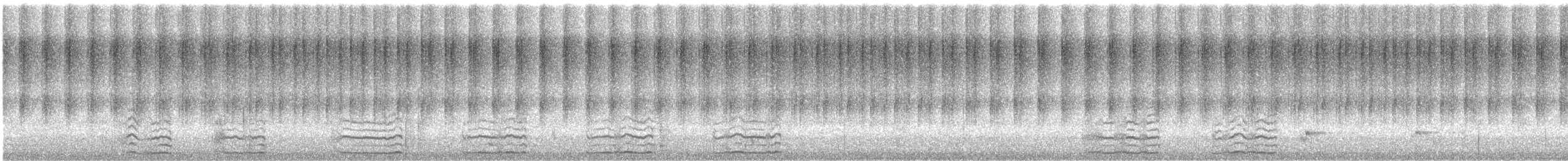 Carnaby's Black-Cockatoo - ML646951618