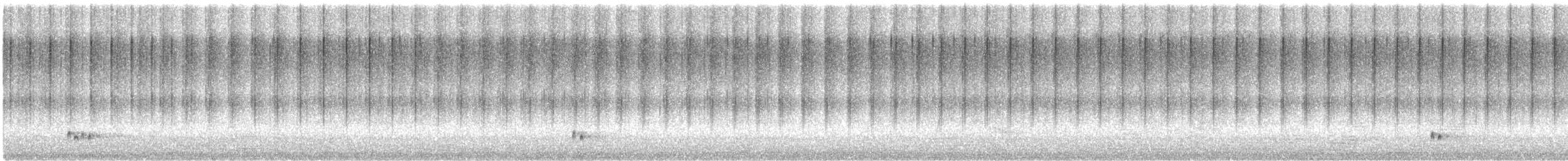 Singing Honeyeater - ML646951635