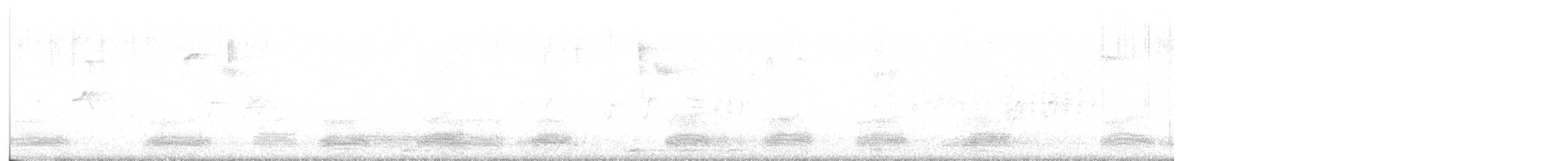 havran polní - ML646951637