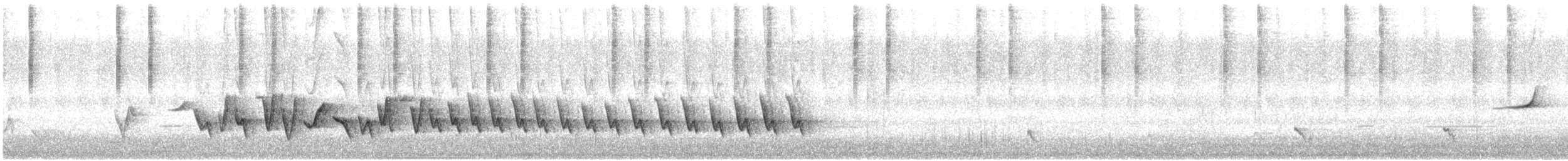 Rufous Whistler - ML646951660