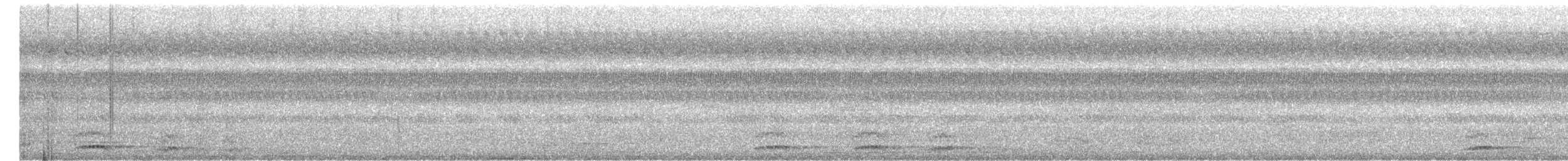 Jungle Owlet - ML646951663