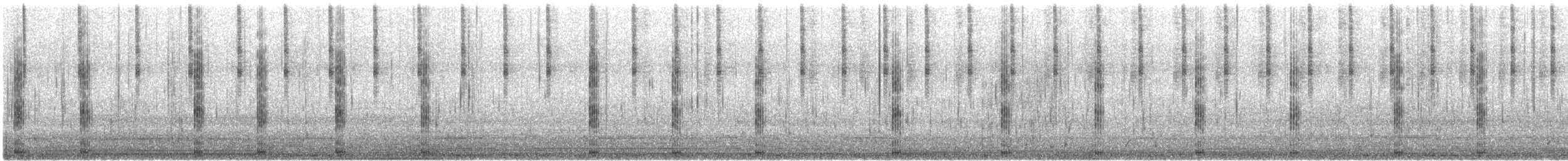 Great Egret (modesta) - ML646951677