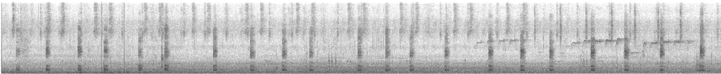 Great Egret (modesta) - ML646951678