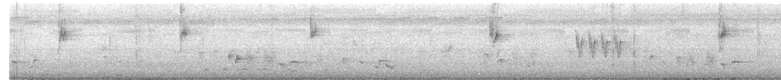 Hegaztia sp. - ML646951772