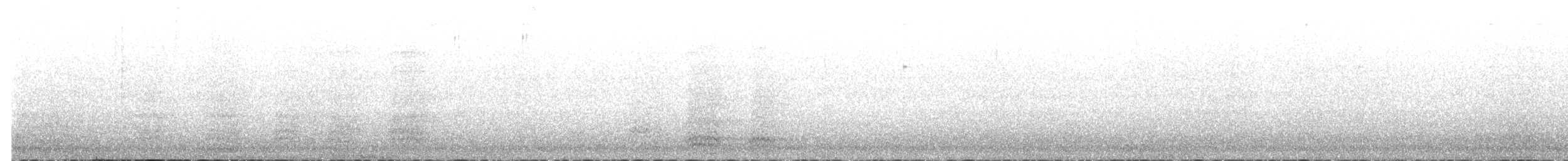 Common Raven - ML646951973