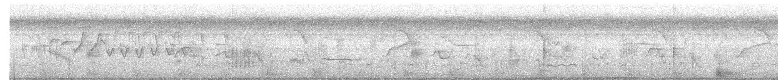 Yellow Bittern - ML646952291