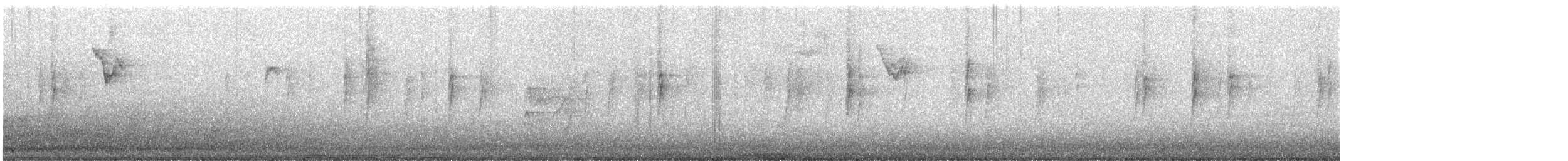 Thick-billed Kingbird - ML646952489