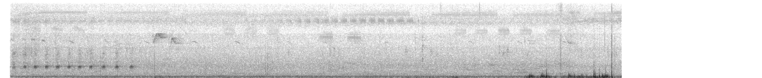 Oriental Darter - ML646952716