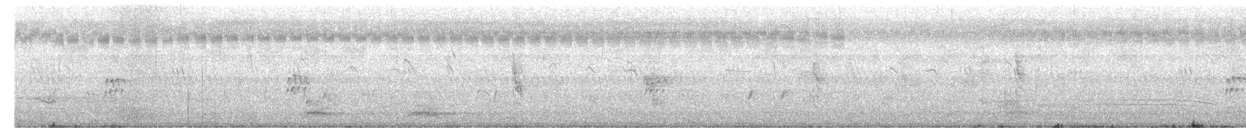 Hegaztia sp. - ML646952734