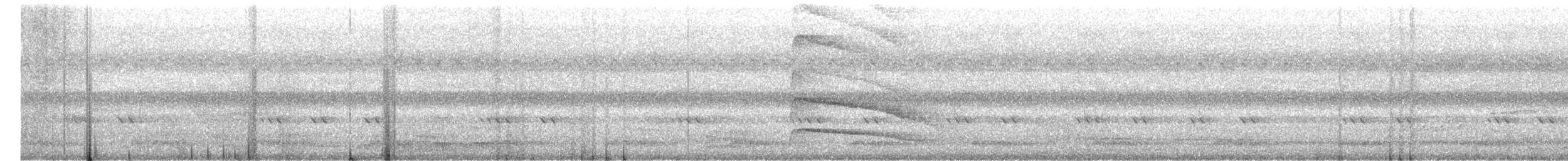 Indian Pitta - ML646952951