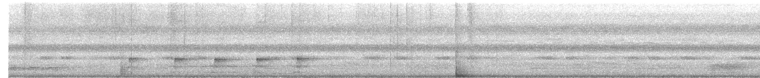 Greater Racket-tailed Drongo - ML646953016