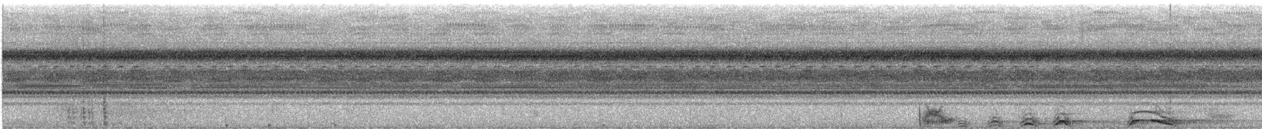 Bindenhalskauz - ML646953368