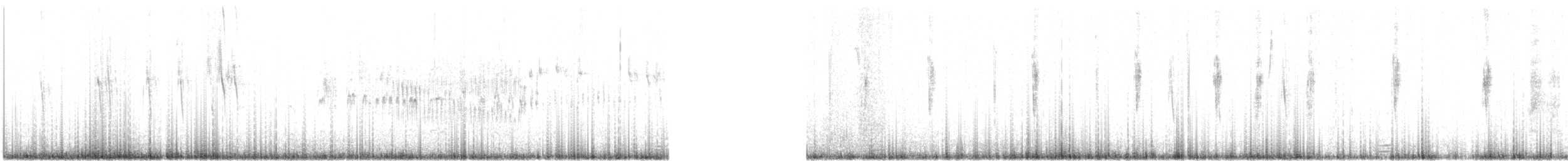 Cream-winged Cinclodes - ML646953624