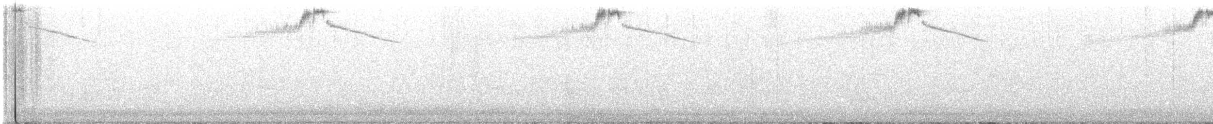 Costa's Hummingbird - ML646953643