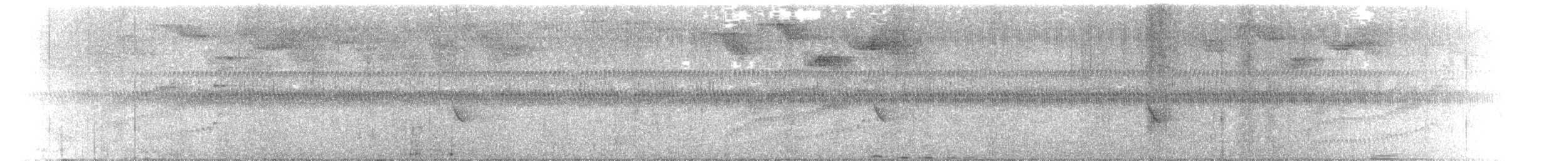 Fleckenbrust-Zaunkönig - ML646954167