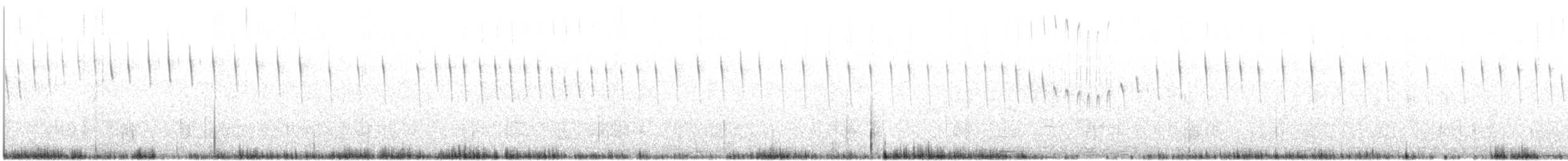 Cream-winged Cinclodes - ML646954388