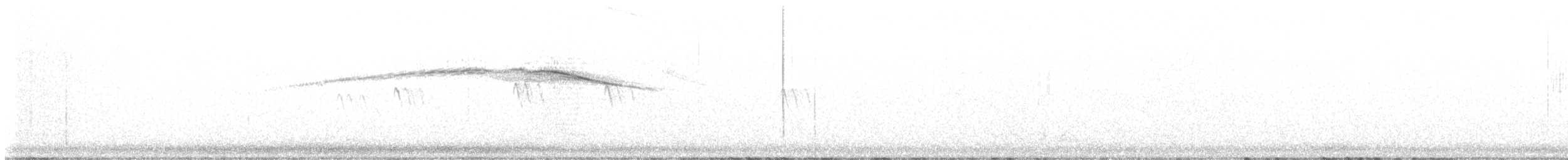 Costa's Hummingbird - ML646954748