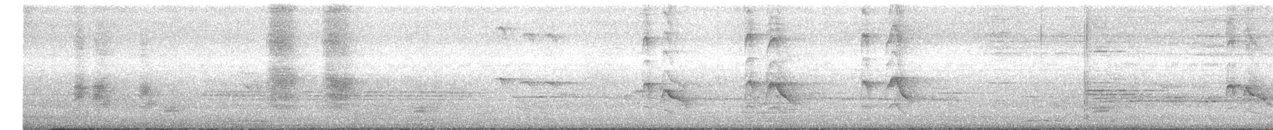 Black Drongo - ML646955278