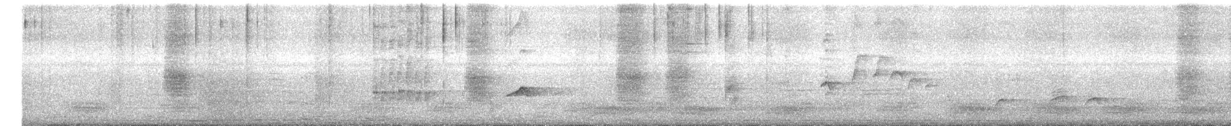 Black Drongo - ML646955279