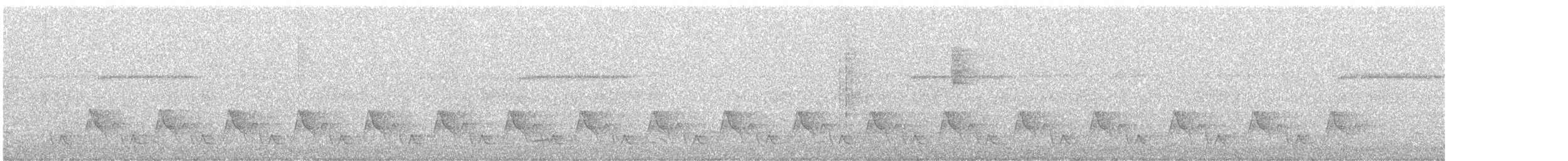 Cucarachero Pechihabano - ML646955848