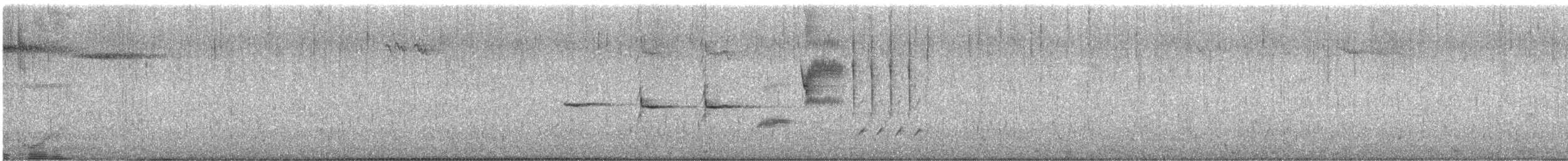 Chingolo Cantor - ML646955857