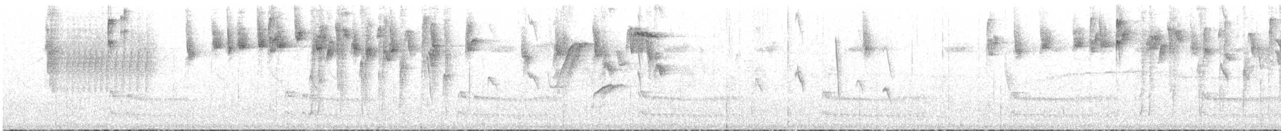 Коронник оливковий - ML646956325