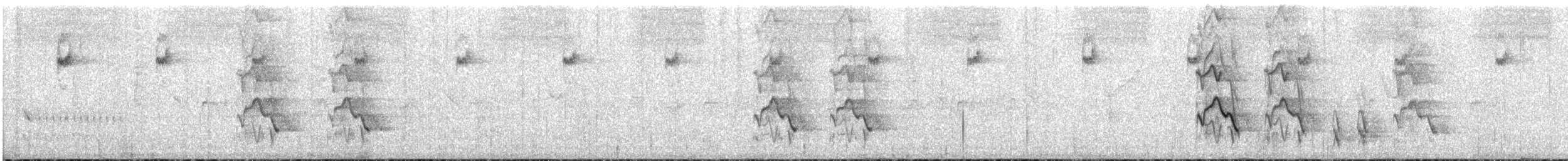 Дрізд великий - ML646956372