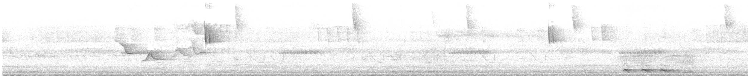 Madagascar Cuckoo - ML646956626