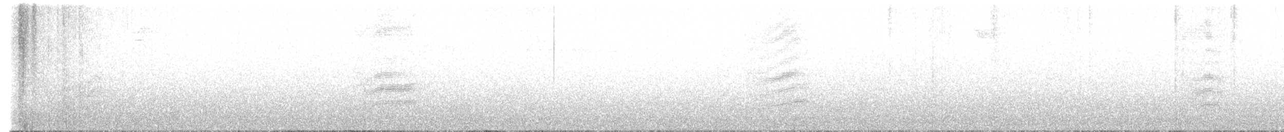 Spotted Towhee - ML646956632