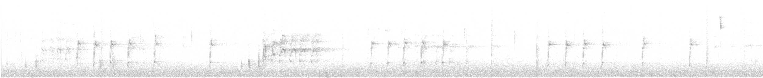 kos černý - ML646956899