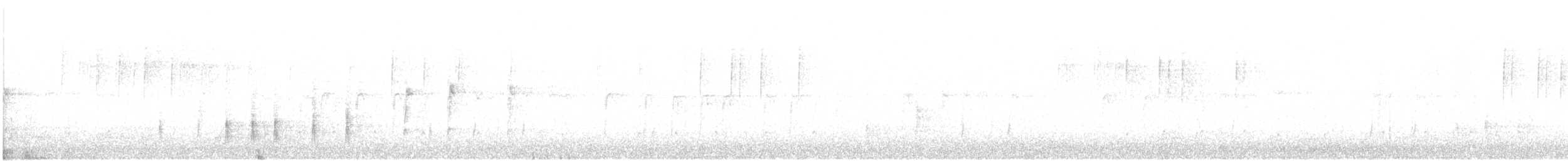 kos černý - ML646956900