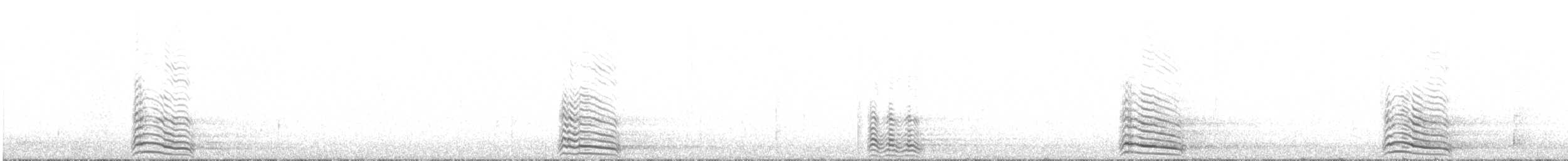 racek středomořský - ML646956908