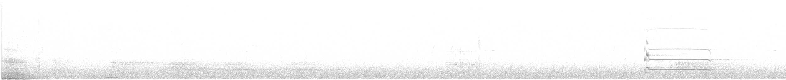 datel černý - ML646956922