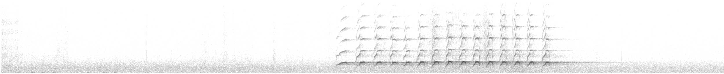 datel černý - ML646956923