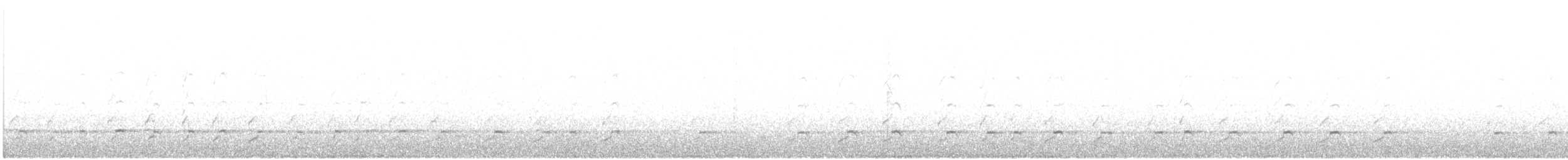 datel černý - ML646956929