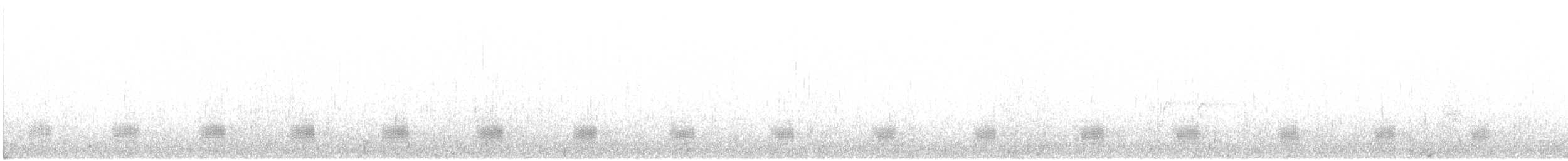 kachna divoká - ML646956949