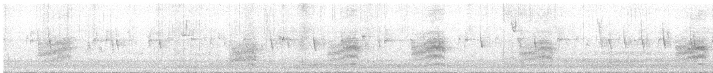 Spotted Towhee - ML646956973