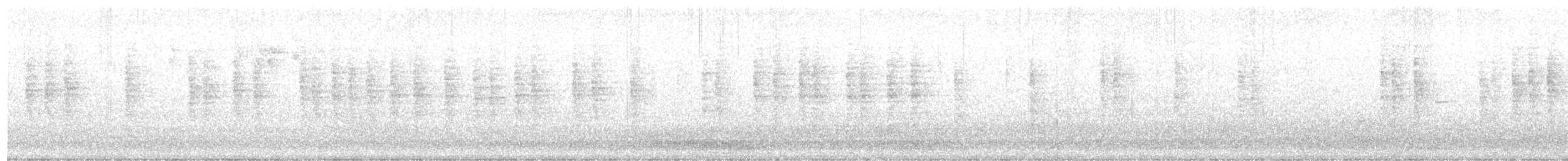 králíček americký - ML646956976