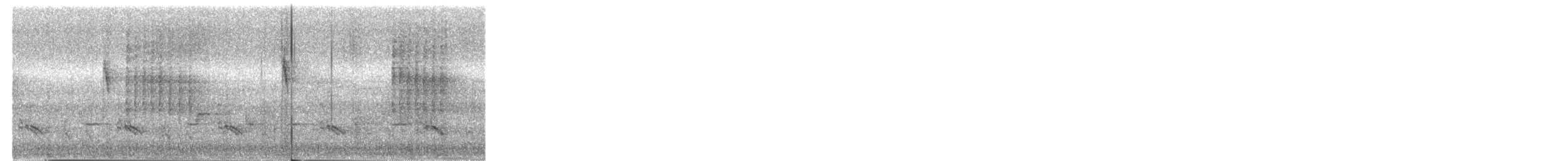 budníček koniferový - ML646957032