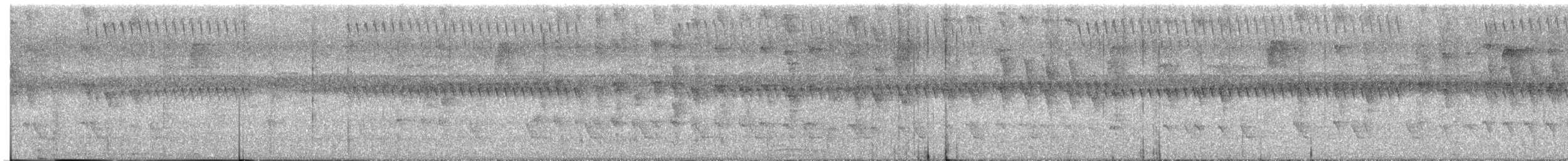 White-browed Piculet - ML646957188