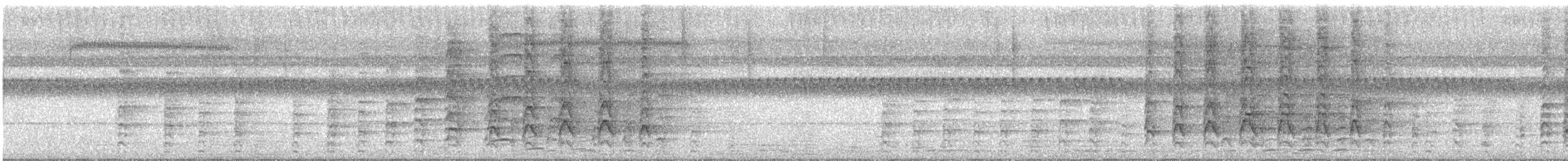 Oriental Pied-Hornbill - ML646957203