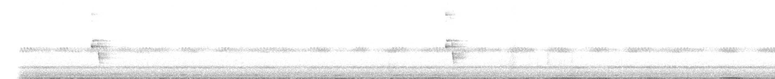 Bindenralle - ML646957213