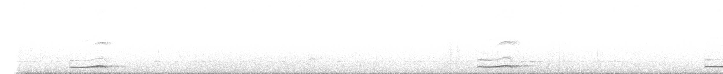 Pazifikkoel - ML646957311