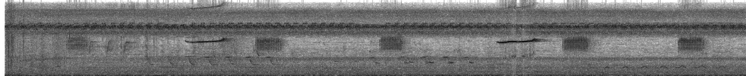 חטפית טאיגה - ML646957613